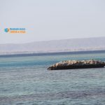 hurghada schnorcheln preise 2020 Dolphin House Hurghada Ausflug