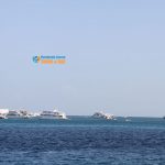 snorkeling day trips hurghada 2020 diving trips best prices for a Sindbad submarine